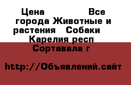 French Bulldog Male › Цена ­ 150 000 - Все города Животные и растения » Собаки   . Карелия респ.,Сортавала г.
